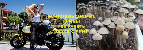 МДПВ Покров